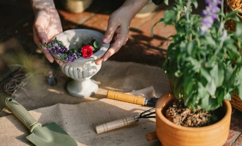 optimize growth with tools